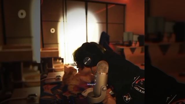 C9b0d6c493148967c3153167cd19bab7