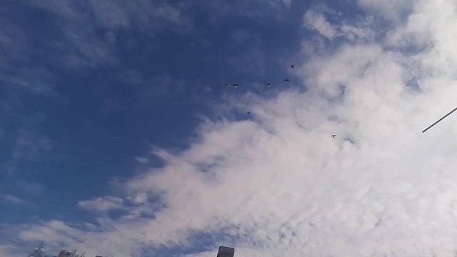 24.10.2023....тренеруем.для отбора в маточник