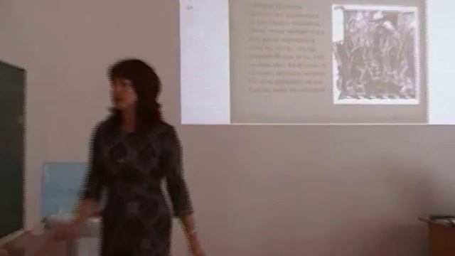 урок литературы в 9 а классе, МБОУ 