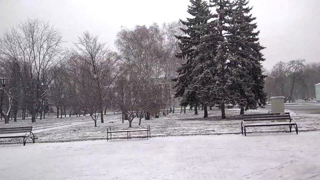 7fe37f680c7341d93fd0b6b9205b6252