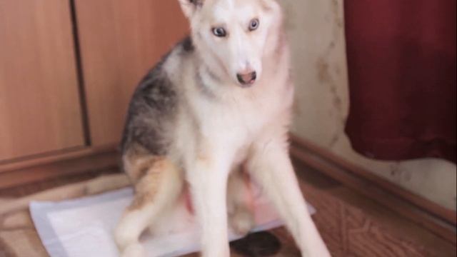 Db1fba1b2b5b03d58ed530ee092e2f96