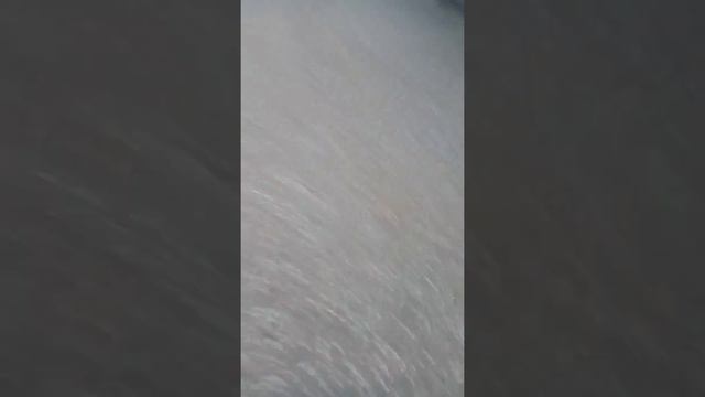 Прощание с лучшим другом 😓😭😓😭🤕🤧