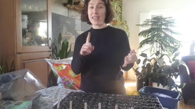 Seed Starting 101 - Grow With Dora!