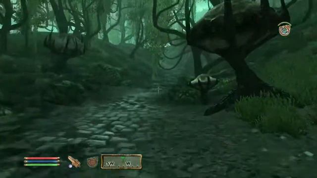 The Elder Scrolls IV: Oblivion Playthrough | Part 143