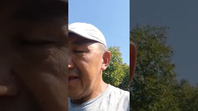 Биогумусқа піскен бүлдірген (ежевика) 8 705 122 27 27