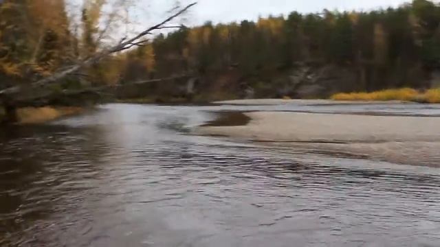 Поездка на р. Вижай и р. Лозьва, за хариузом.