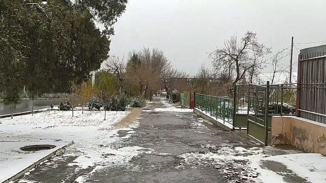 Кухня на все Случаи Жизни