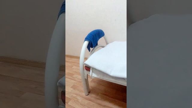 Спорт и Энергия