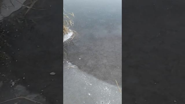 новосёловкаднепропетровская обл.