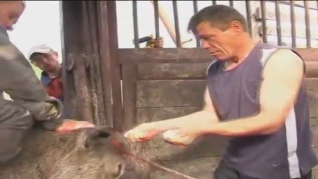 Как Сделать Легко и Просто