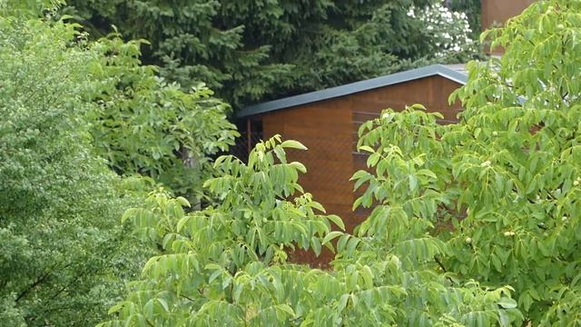 Nikon D5100 Video Test Stabilization With Kit VR Lens