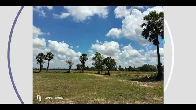 مراجعة Oppo Reno 7 4G | مميزات كتير ... عيب وحيد !!