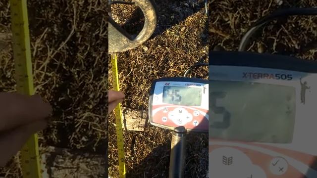 Minelab Xterra 505  монеты в см видимость