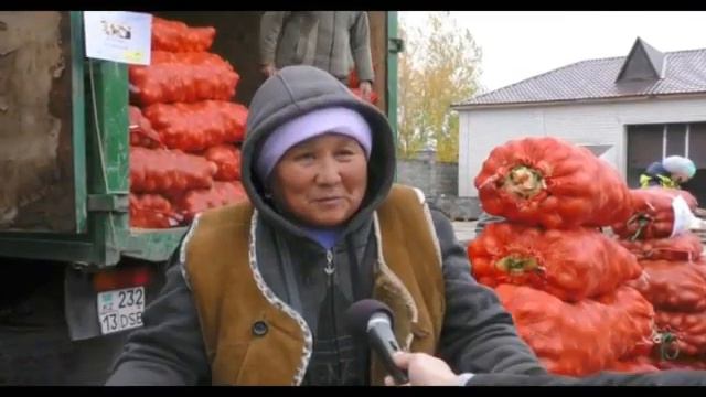 Экибастуз  Новости  Еженедельная ярмарка в Экибастузе  Картофель привезли и Железинка и Аксу