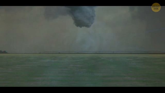 Insane Facts We Spent All Night Googling And You Will Too!