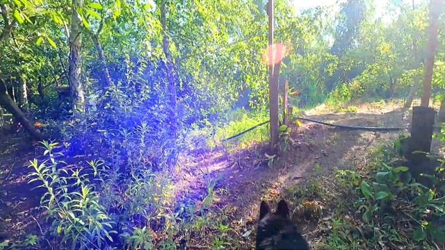 007cc10559ca8be8640bfbbcf9b74367