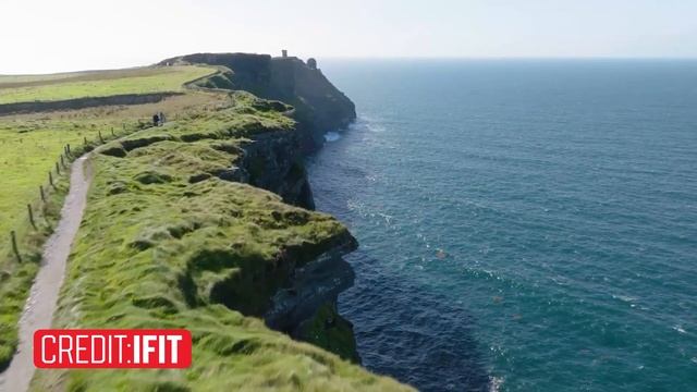 Best Exercise Equipment For Bad Knees: Low-Impact Fitness!