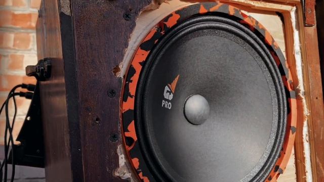 Бюджетные 25ки Gryphon pro250