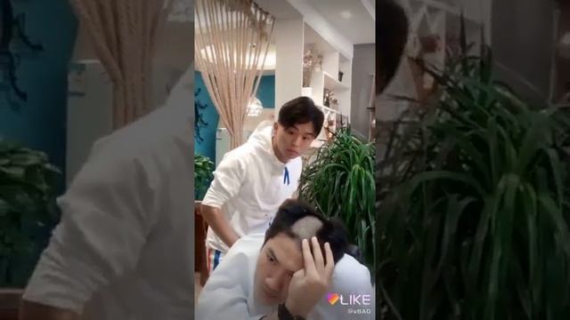 Во время стрижки не надо чихать