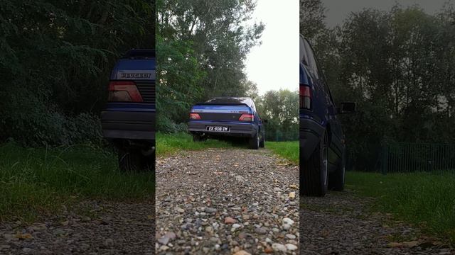 Peugeot 309 GTi16 Ligne Inox Gr.N