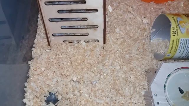 023d6b4c9b072aa5784ed477504d1082