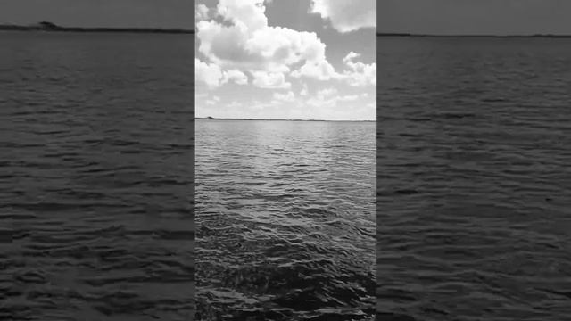 View Of Biscayne Bay From The Vizcaya Museum And Gardens