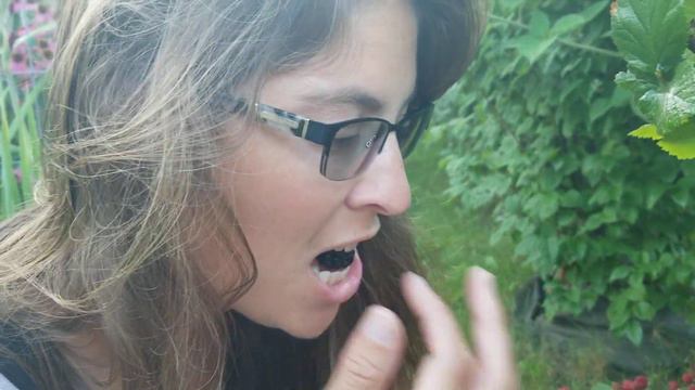 Cd7a4a40d9e0448aca739855123e1f1c