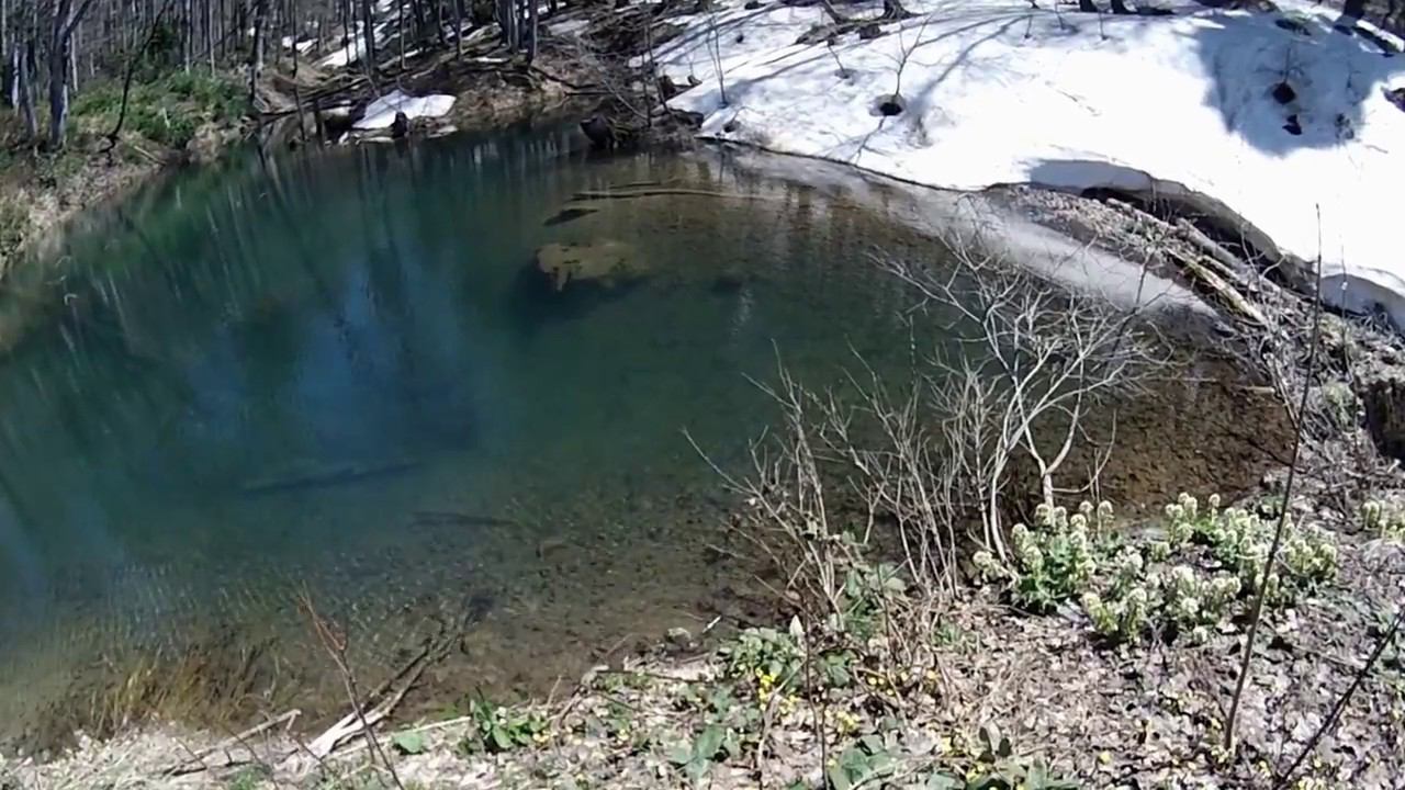 #7 Из Краснодара на Весенний Водопадистый