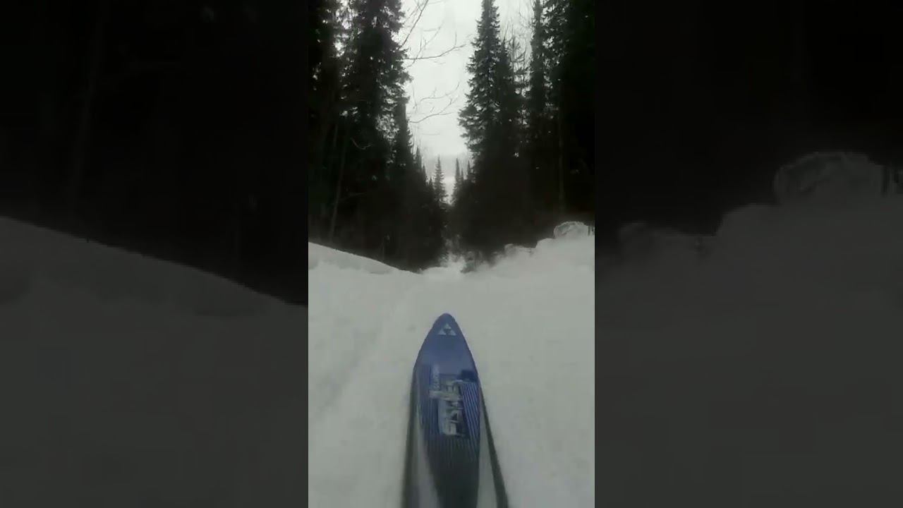 Ну вот я еду опять. #shorts