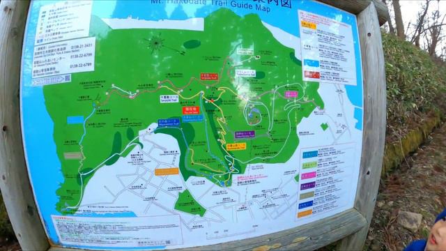 函館山　函館市場に行ってイカを食べてから函館山に登ったよ🌞