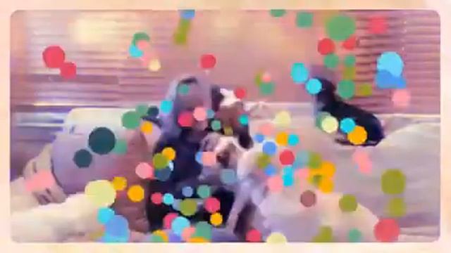 Quite a party,  at Aunt Aud's Sit Stay & Play!