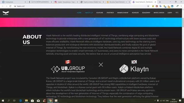 HAWK Network Современный взгляд и развитие сферы Интернет Вещей!