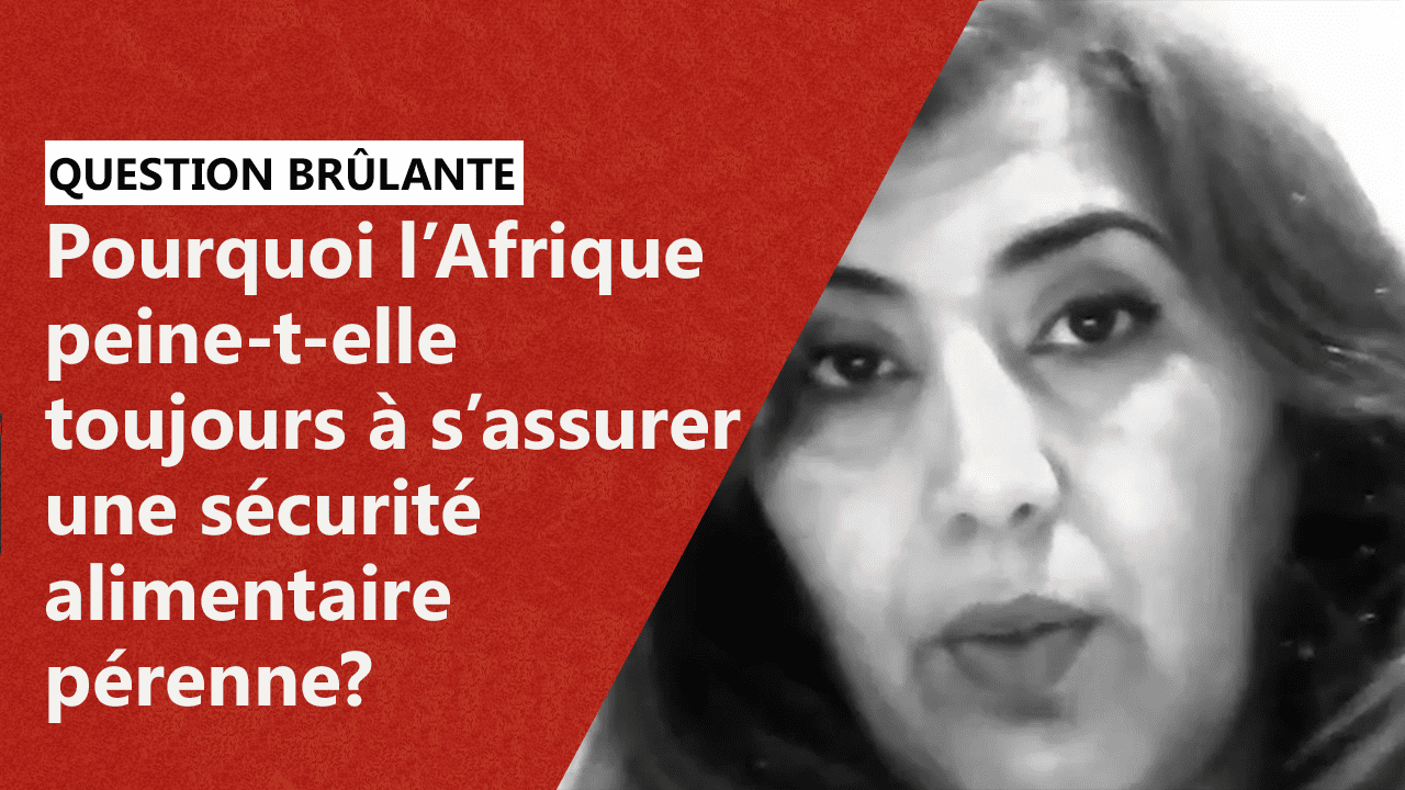 Pourquoi L’Afrique Peine-t-elle Toujours à S’assurer Une Sécurité Alimentaire Pérenne?
