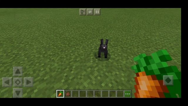 МОД на НОВОГО МОБА в МАЙНКРАФТ 1.16-//-ОБЗОР МОДА Ручные кролики в MINECRAFT PE 1.16