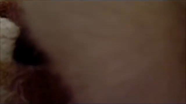 бой с медведем