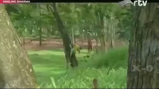 ANGLING DHARMA Kesombongan Sekangbaplang Menatang Prabu Konta Wijaya Danu Full Episode 124