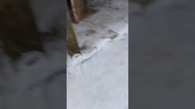 Помогаем Бабушке и Дедушке #Shorts