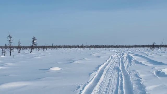 По Эвенкии на подножке буханки