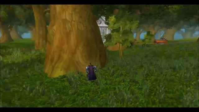 / ЭКШН КАМЕРА WoW /