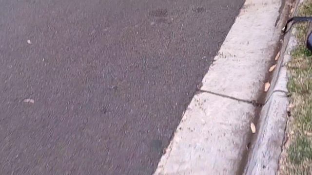 16149269a60416d530ab866c5be8daa8