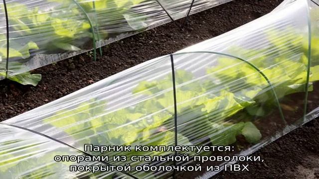 Боремся за урожай: как быстро и качественно собрать парники из дуг с укрывным материалом