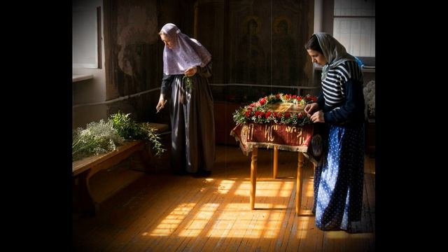 F0ba196fe9d81ada142c415a556a3859