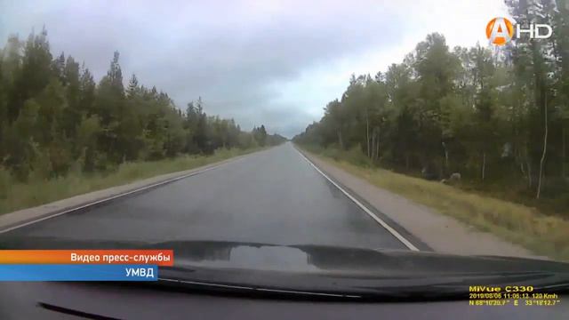 Enchanting Adventures