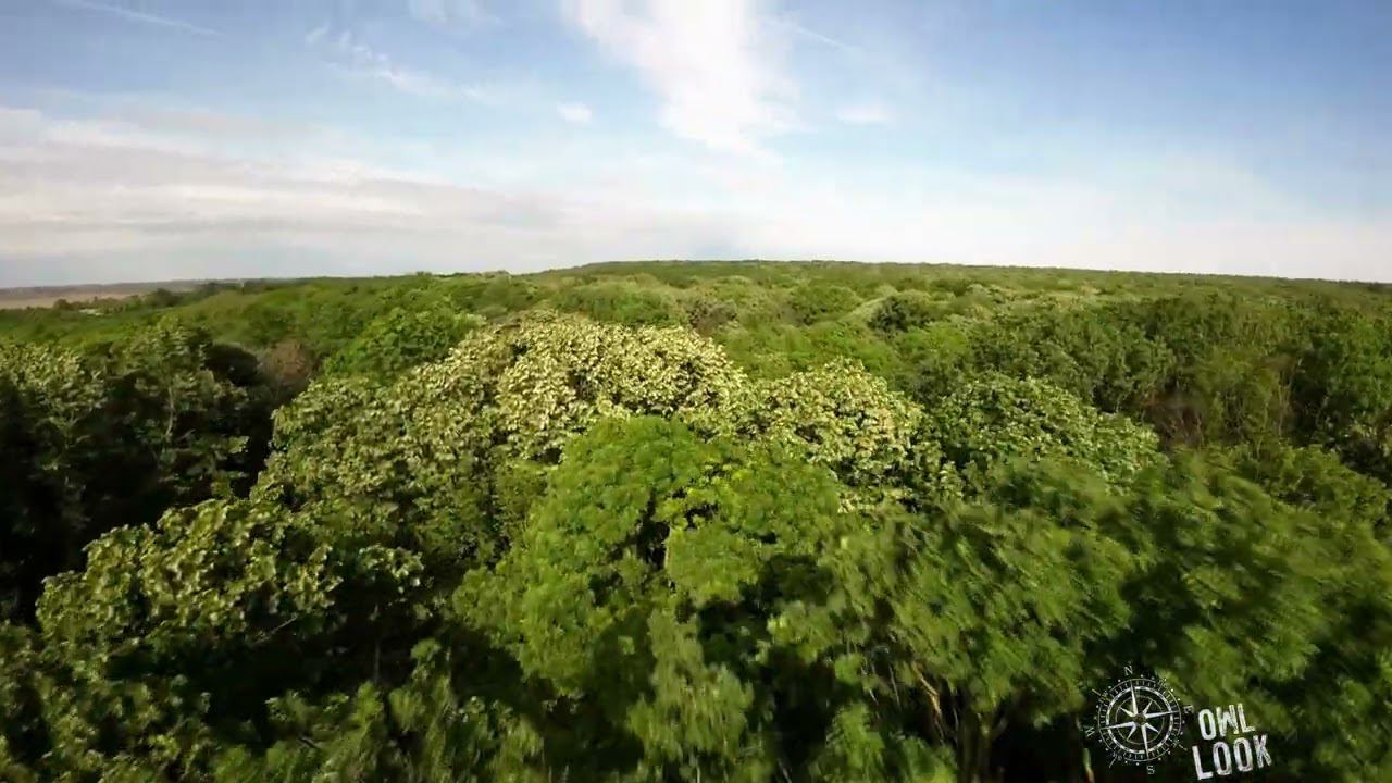 Парк Комана. Место убийства Графа Дракулы. Parcul Natural Comana. Scena Crimei Lui Vlad Țepeș.