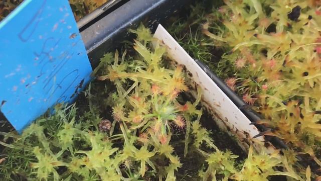 E678b50a3febe0c22761bbad37caef96