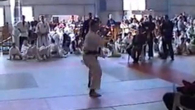 Ryukyu Kobudo. Sakugawa-no Kun Sho By Misha