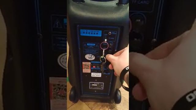 колонка чемодан Feiyang 12 дюймов