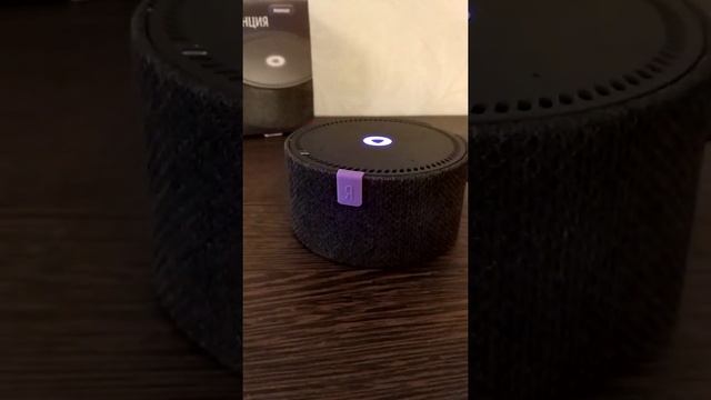 Зимние истории и сказки