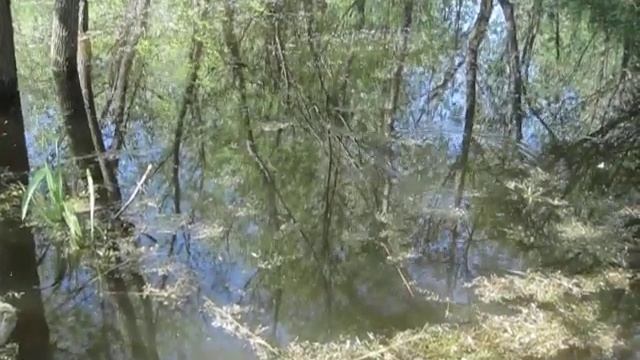 Costa Costella - Serebchick - 30.05.13. - Part II