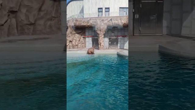 3e9283aecc02353976f4461d9b5e6cba